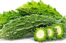 Bitter Gourd