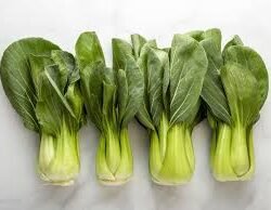 Bok Choy