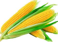 Corn