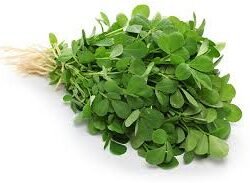 Fenugreek