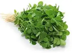 Fenugreek (maithi)