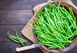 French Beans