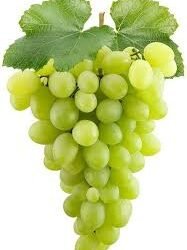Grapes