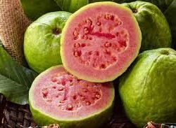 Guava