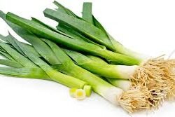 Leek