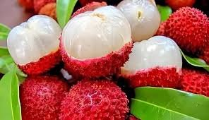 Litchi