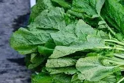 Mustard Leaves