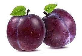 Plum