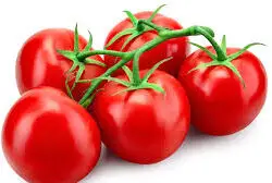 Tomato