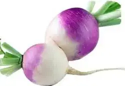 Turnip