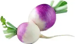 Turnip