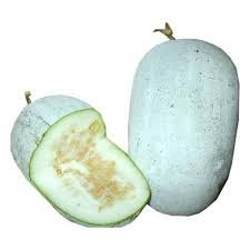 Ash Gourd
