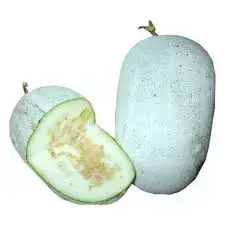 Ash Gourd