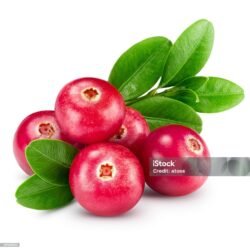 Cranberry