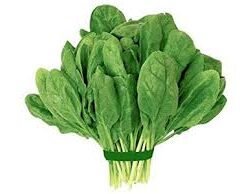 Spinach