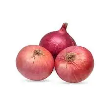 Onion