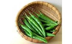 Chilli Green