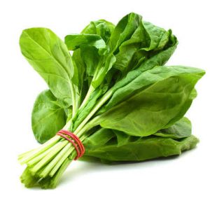 Organically Grown Spinach